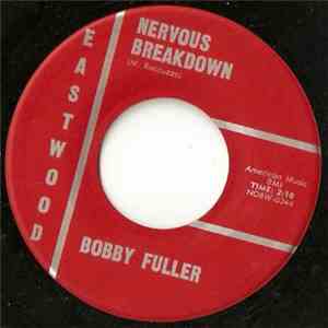 Bobby Fuller - Nervous Breakdown download flac