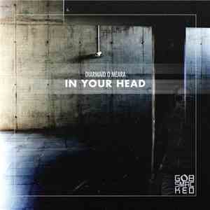 Diarmaid O'Meara - In Your Head download flac