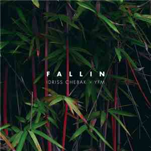 Idriss Chebak, YFM - Fallin download flac