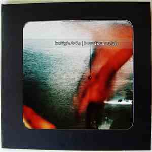 Kriipis Tulo - Hommikune Ujuja download flac