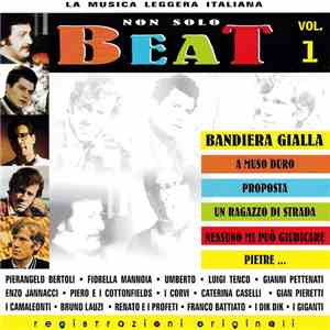 Various - Non solo Beat Vol. 1 download flac