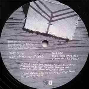 Yeah Yeah Yeahs - Gold Lion download flac