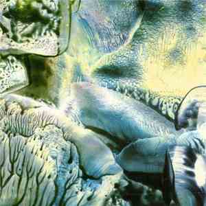 All Living Fear - The Widow's Blame download flac