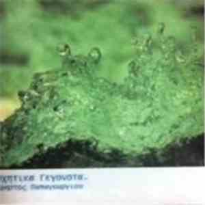 Christos Papageorgiou - Ηχητικά Γεγονότα download flac