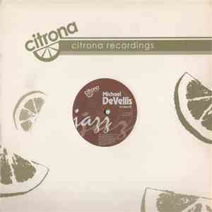 Michael DeVellis - It's Work EP download flac