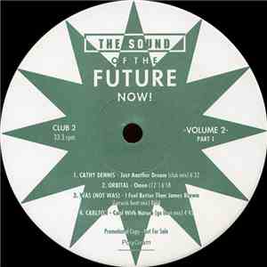 Various - The Sound Of The Future ...Now! Volume Two download flac