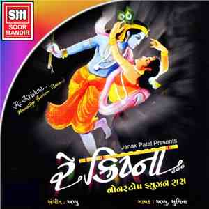 Appu Vaz, Suchita Vaz - Re Krishna - Non Stop Fusion Raas download flac