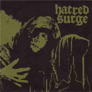 Hatred Surge - Con Artist b/w Lack Of Intelligence download flac