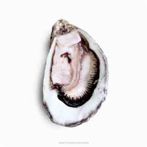 Pearl  - Open download flac