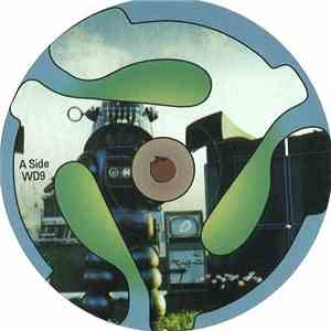 Perishable Vertebrate / Rayko - Discofobia download flac