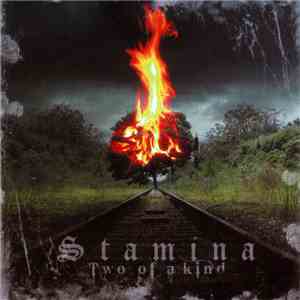 Stamina  - Two Of A Kind download flac