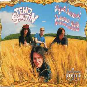 Tehosekoitin - Hyvä Karma download flac