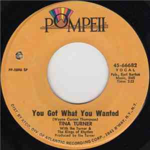 Tina Turner With Ike Turner & The Kings Of Rhythm - You Got What You Wanted / Too Hot To Hold download flac