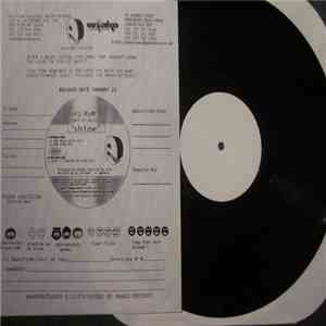 DJ R&R - Shine download flac