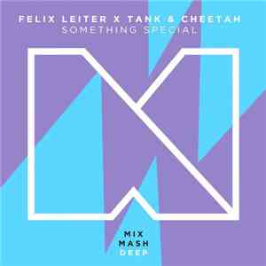 Felix Leiter X Tank & Cheetah - Something Special download flac