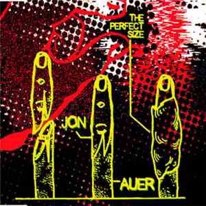 Jon Auer - The Perfect Size download flac
