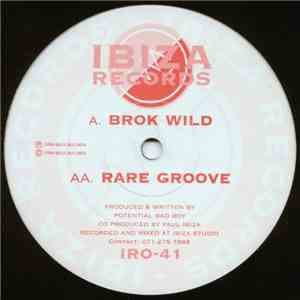 Potential Bad Boy - Brok Wild / Rare Groove download flac