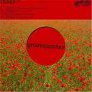Groovepatcher - Temp EP download flac
