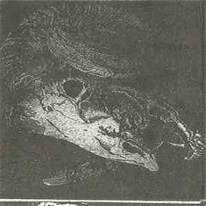 Mshing & Psychward - Mshing & Psychward download flac