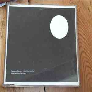 Susumu Yokota - Grinning Cat download flac