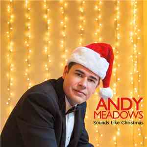 Andy Meadows - Sounds Like Christmas download flac