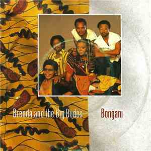 Brenda & The Big Dudes - Bongani (Remix) download flac