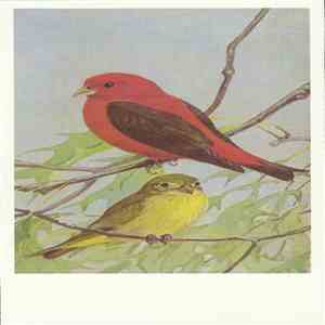 No Artist - Scarlet Tanager download flac