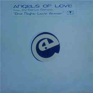 Angels Of Love - One Night Love Affair download flac