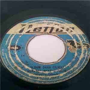 Sinan Kaya - Oldum Daha Cilveli download flac