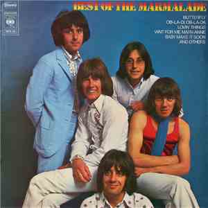 The Marmalade - The Best Of The Marmalade download flac
