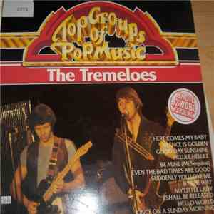 The Tremeloes - Top Groups Of Pop Music download flac
