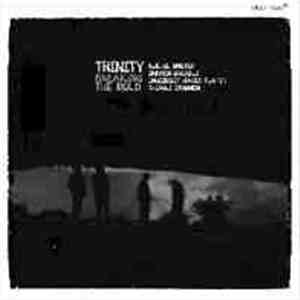 Trinity  - Breaking The Mold download flac