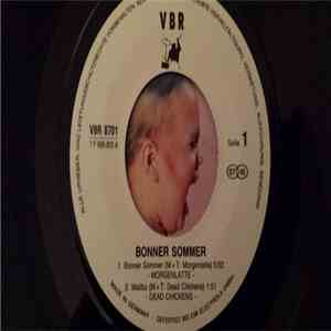 Various - Bonner Sommer download flac
