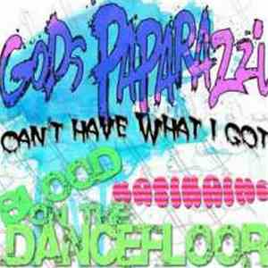 Blood On The Dance Floor, KatiKane, God's Paparazzi - Can't Have What I Got download flac