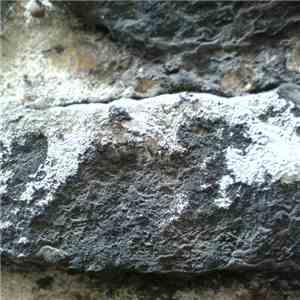 Cezary Gapik - The Limestone EP download flac