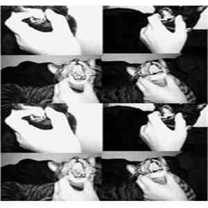 I Love Cats! - Vol. 2 download flac