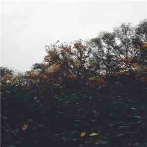 The Wandering Lake - From James' Garden download flac