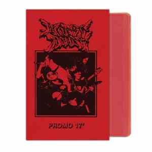 The Worst Doubt - Promo '17 download flac