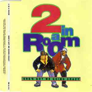 2 In A Room - She's Got Me Going Crazy download flac