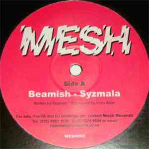 Beamish / Javier Bussola - Syzmala / Magic Leaf download flac