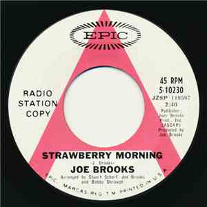 Joe Brooks - Strawberry Morning / Girl From The Bay Country download flac
