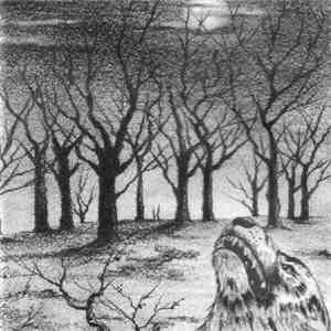 Lupus Nocturnus - Suicidal Thoughts Pt I download flac
