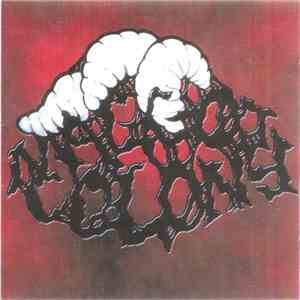 Maggot Colony - Maggot Colony download flac