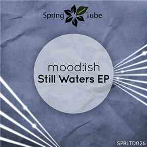 mood:ish - Still Waters EP download flac