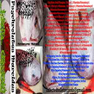Psychrolutes Marcidus - Psychrolutes Marcidus / Six Disgusting Mistakes download flac