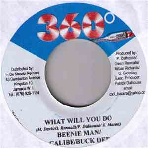 Beenie Man / Calibe / Buck Dee - What Will You Do download flac