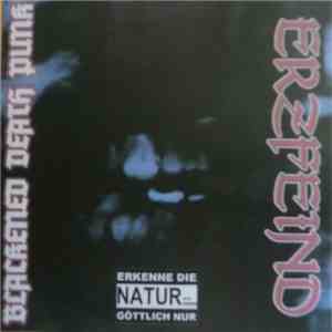 Erzfeind - Blackened Death Punk download flac