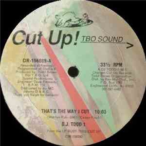 D.J. Todd 1 - That's The Way I Cut download flac