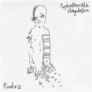 Exploplasmatic Coagulation - Pixelize download flac