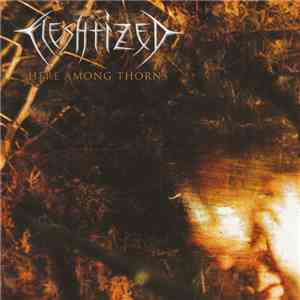 Fleshtized - Here Among Thorns download flac